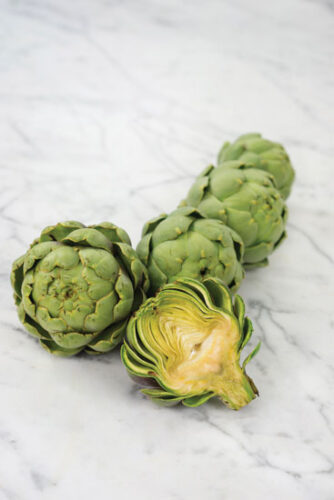 The Regal Thistle: Heirloom Artichokes